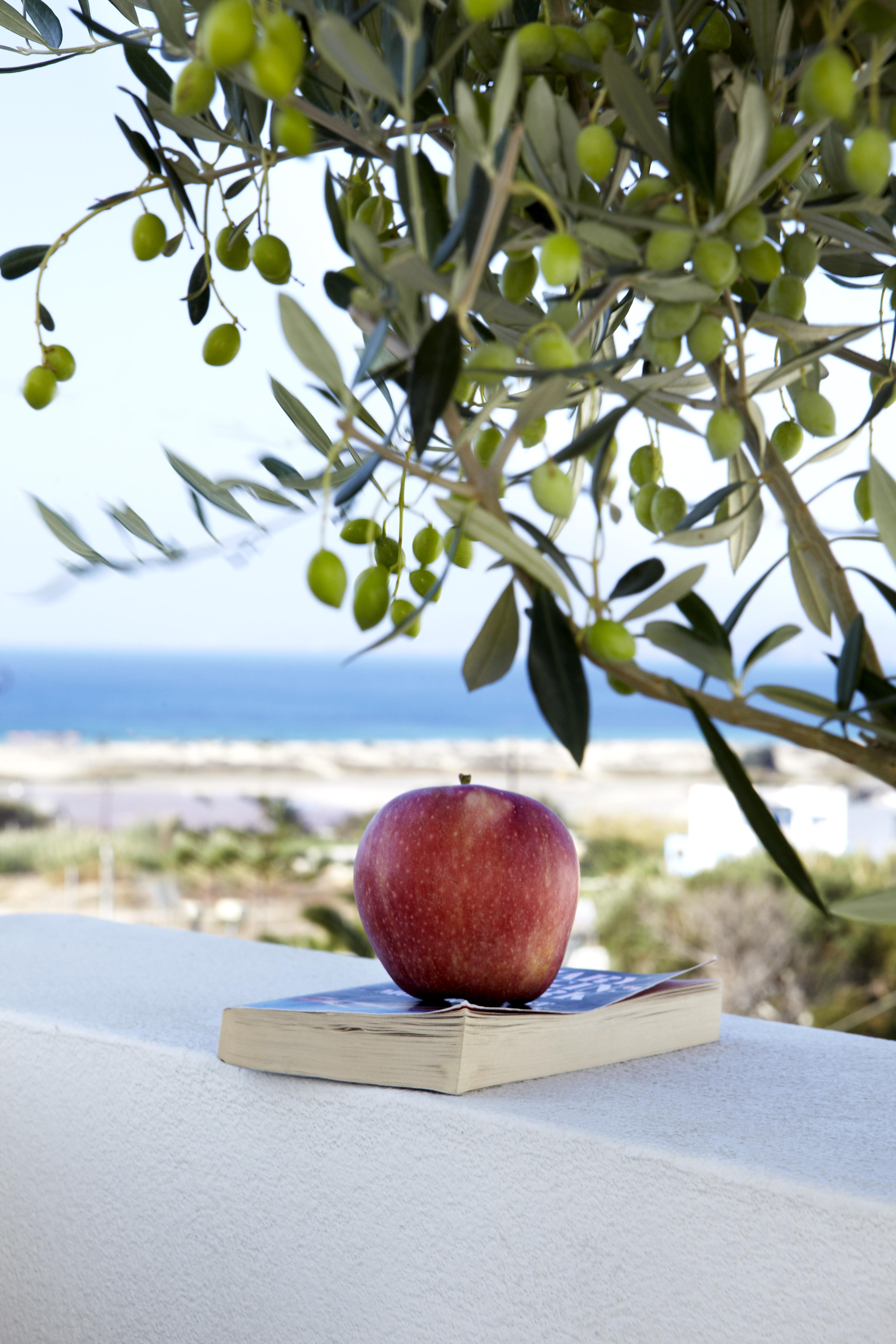 Mitos Suites Agios Prokopios  Eksteriør billede